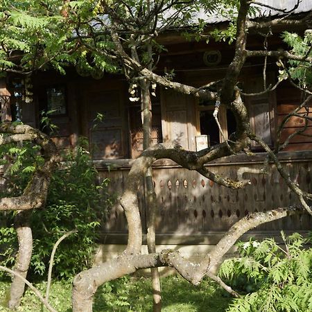 Woodenhouse Maramures Vişeu de Sus Eksteriør billede