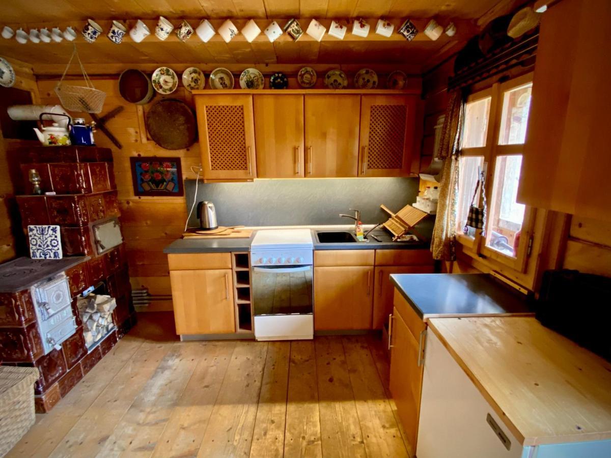 Woodenhouse Maramures Vişeu de Sus Eksteriør billede