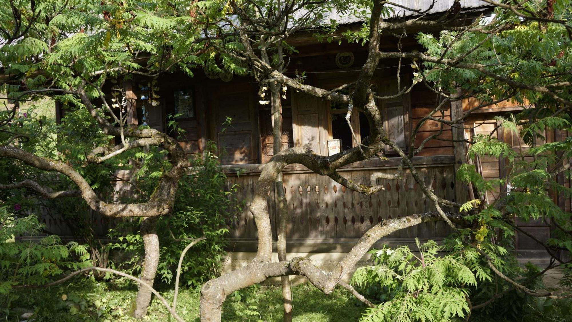 Woodenhouse Maramures Vişeu de Sus Eksteriør billede