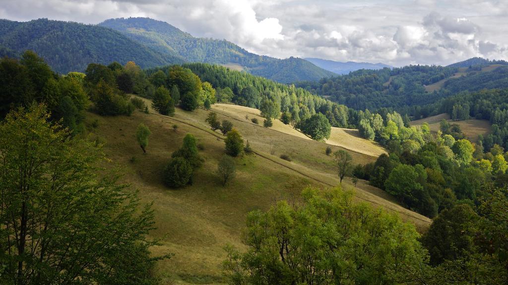 Woodenhouse Maramures Vişeu de Sus Eksteriør billede