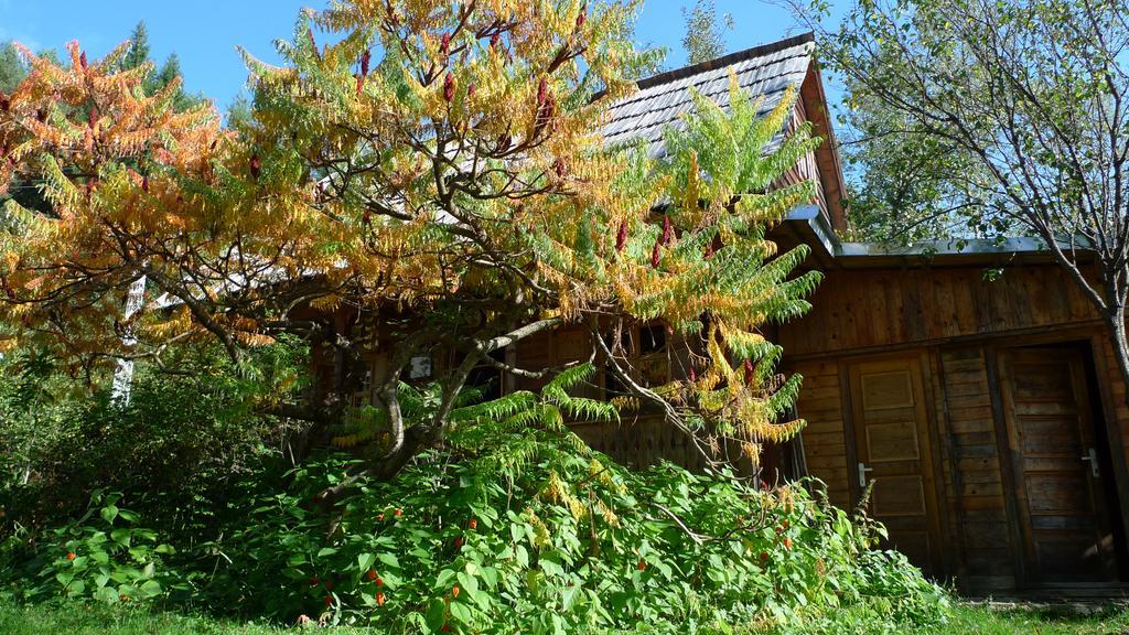 Woodenhouse Maramures Vişeu de Sus Eksteriør billede