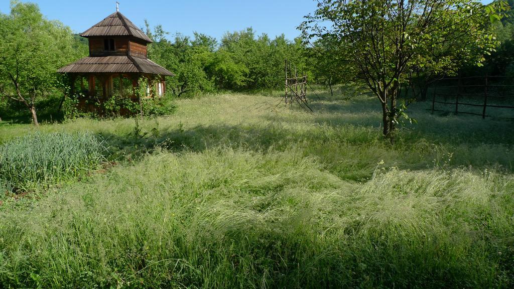 Woodenhouse Maramures Vişeu de Sus Eksteriør billede