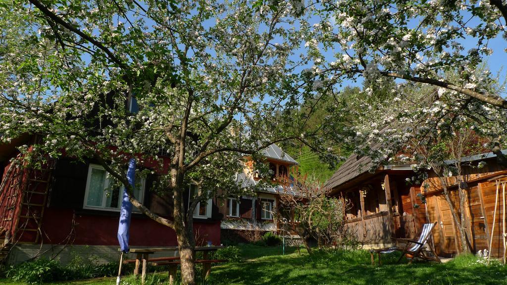 Woodenhouse Maramures Vişeu de Sus Eksteriør billede